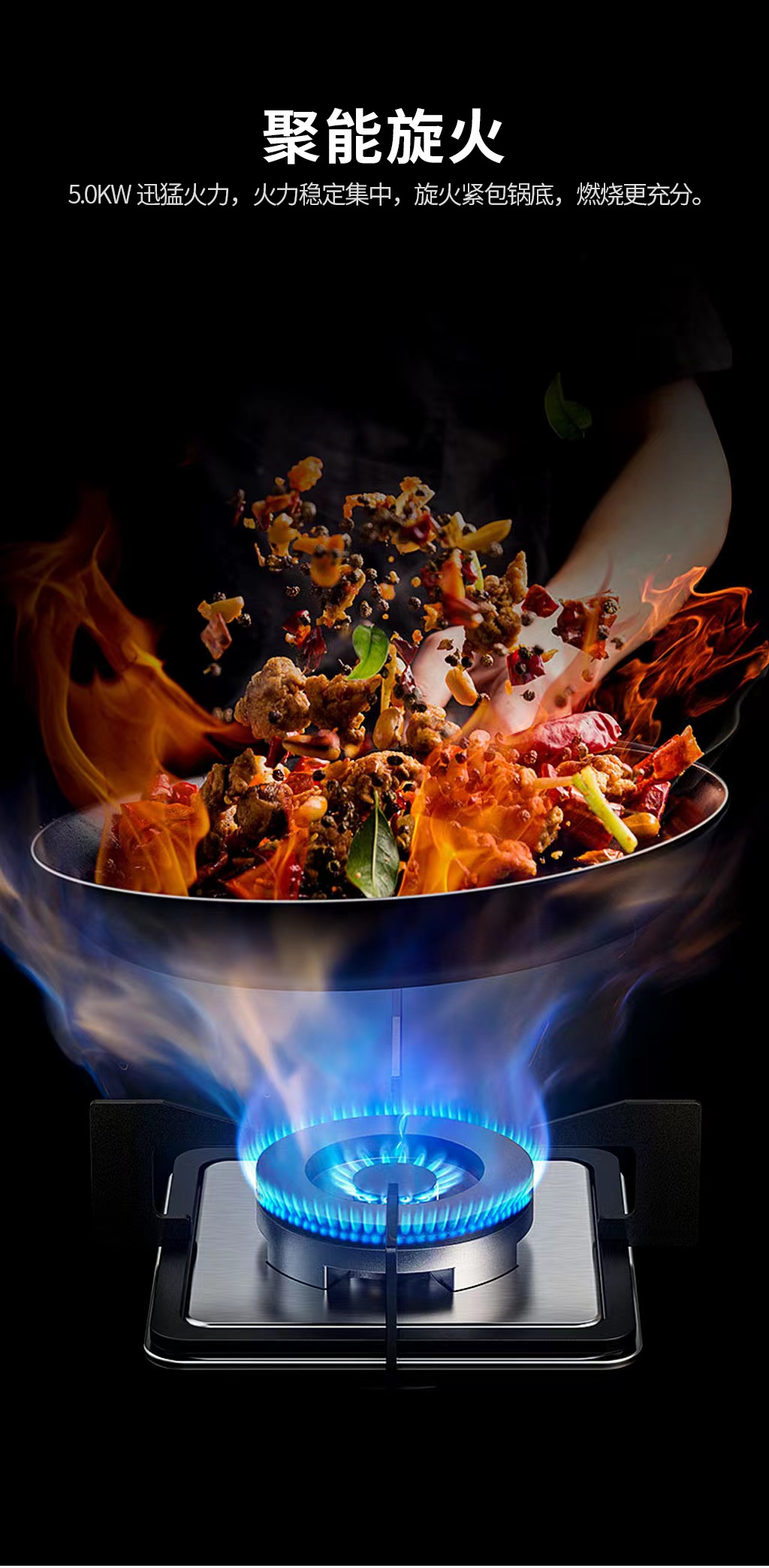 桑乐灶具新款隆重上市JZY/T-QL266L